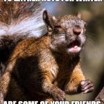 Do you know where your memer friends are? | SQUIRRELS ARE STARTING TO GATHER NUTS FOR WINTER; ARE SOME OF YOUR FRIENDS STARTING TO GO MISSING? | image tagged in funny squirrel,missing,nuts | made w/ Imgflip meme maker