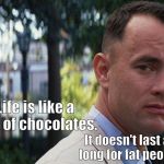 forrest gump | Life is like a box of chocolates. It doesn't last as long for fat people. | image tagged in forrest gump | made w/ Imgflip meme maker