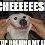 When someone wants to take my picture | CHEEEEEESE; STOP HOLDING MY LIPS | image tagged in happy dog,memes,funny,weird | made w/ Imgflip meme maker
