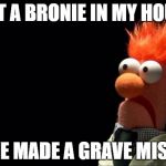 Mistakes  | I LET A BRONIE IN MY HOUSE; I HAVE MADE A GRAVE MISTAKE | image tagged in mistakes | made w/ Imgflip meme maker