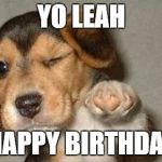 Winking Puppy | YO LEAH; HAPPY BIRTHDAY | image tagged in winking puppy | made w/ Imgflip meme maker