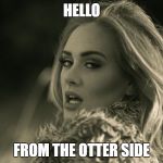 adele hellow | HELLO; FROM THE OTTER SIDE | image tagged in adele hellow | made w/ Imgflip meme maker