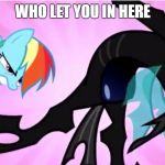 rainbow dash saving the day | WHO LET YOU IN HERE | image tagged in rainbow dash saving the day | made w/ Imgflip meme maker