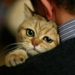Grab pussy