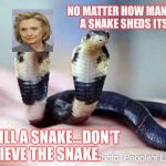 Two headed snake | NO MATTER HOW MANY TIMES A SNAKE SHEDS ITS SKIN; IT'S STILL A SNAKE...DON'T BELIEVE THE SNAKE. | image tagged in two headed snake | made w/ Imgflip meme maker