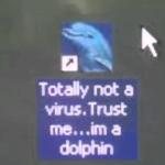 Dolphin virus. meme