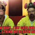 A Breaking Bad/Alf crossover would've been hilarious... | YOU KNOW WALT...I EAT CATS AND WE BOTH MAKE METH...I THINK WE'RE BOTH BADLY BROKEN | image tagged in breaking bad walt  alf,memes,breaking bad,alf,funny,tv shows | made w/ Imgflip meme maker