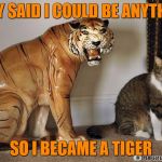 Cat mocking tiger statue licking fur | THEY SAID I COULD BE ANYTHING; SO I BECAME A TIGER | image tagged in cat mocking tiger statue licking fur | made w/ Imgflip meme maker