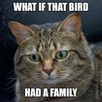 Regretful cat | WHAT IF THAT BIRD; HAD A FAMILY | image tagged in penny | made w/ Imgflip meme maker