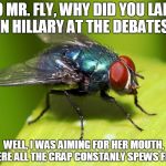 When interviewed on WHY he kept buzzing, and finally landed on H | SO MR. FLY, WHY DID YOU LAND ON HILLARY AT THE DEBATES? WELL, I WAS AIMING FOR HER MOUTH, WHERE ALL THE CRAP CONSTANLY SPEWS FROM! | image tagged in when interviewed on why he kept buzzing and finally landed on h | made w/ Imgflip meme maker