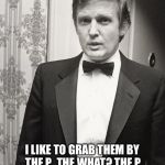 Young Donald Trump | D.TRUMP'S NEW HIT SINGLE 'GRAB THEM BY THE P'; I LIKE TO GRAB THEM BY THE P.  THE WHAT? THE P. YEAH, YOU KNOW ME, I GRAB THEM BY THE P...NOW ON ITUNES. | image tagged in young donald trump | made w/ Imgflip meme maker