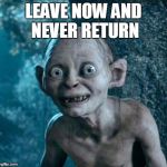 Golum | LEAVE NOW AND NEVER RETURN | image tagged in golum,leave now,lotr,lord of the rings | made w/ Imgflip meme maker