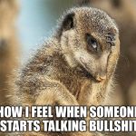 Bullshit | HOW I FEEL WHEN SOMEONE STARTS TALKING BULLSHIT | image tagged in bullshit | made w/ Imgflip meme maker