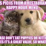 puppies and kittens | THIS PIC IS FROM A RESTAURANT'S HAPPY HOUR MENU... PLEASE DON'T EAT PUPPIES OR KITTENS. YES IT'S A GREAT VALUE, SO WHAT? | image tagged in puppies and kittens | made w/ Imgflip meme maker