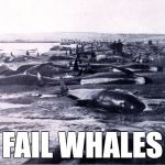 beached whales | FAIL WHALES | image tagged in beached whales | made w/ Imgflip meme maker