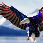 patriotic flag eagle in red white and blue
