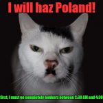 Learning about WWII (again) | I will haz Poland! (But first, I must go completely bonkers between 2:30 AM and 4:30 AM.) | image tagged in hitler cat | made w/ Imgflip meme maker