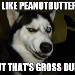 WTF Husky  | I LIKE PEANUTBUTTER; BUT THAT'S GROSS DUDE | image tagged in wtf husky | made w/ Imgflip meme maker