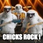 Chicken Musicians | CHICKS ROCK ! | image tagged in chicken musicians | made w/ Imgflip meme maker