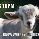 Mind Your Goats | IT'S 10PM; DO YOU KNOW WHERE YOUR KIDS ARE? | image tagged in goat,kid,pun,meme,funny | made w/ Imgflip meme maker
