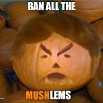 Donald Trumpkin | BAN ALL THE; MUSH; LEMS | image tagged in donald trumpkin,memes,funny | made w/ Imgflip meme maker