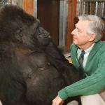 Mr Rogers and Harambe