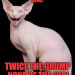 Naughty kitty | HA! TWICE THE GRUMP NONE OF THE FUR! | image tagged in naughty kitty | made w/ Imgflip meme maker