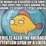 goldfish | THE MEMORY OF A GOLDFISH IS SO SHORT... THAT EVERY TIME IT GOES AROUND THE FISHBOWL ITS SCENERY IS TOTALLY NEW AGAIN; THIS IS ALSO THE AVERAGE ATTENTION SPAN OF A LIBERAL | image tagged in goldfish | made w/ Imgflip meme maker