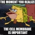 Caveman spongebob  | THE MOMENT YOU REALIZE; THE CELL MEMBRANE IS IMPORTANT | image tagged in caveman spongebob | made w/ Imgflip meme maker