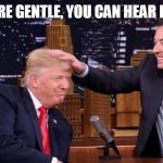 Jimmy Fallon feeling Trump's hair | IF YOU'RE GENTLE, YOU CAN HEAR IT PURR | image tagged in jimmy fallon feeling trump's hair | made w/ Imgflip meme maker