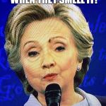 Hillary fly | FLIES KNOW BULLSH#T WHEN THEY SMELL IT! | image tagged in hillary fly | made w/ Imgflip meme maker