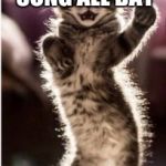Dancing Tabby | MAN I COULD DANCE TO THIS SONG ALL DAY; SUT IT OFF... NOW!!! | image tagged in dancing tabby | made w/ Imgflip meme maker