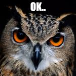 Owl Gives No Fucks | OK.. | image tagged in owl gives no fucks,memes,i don't give a fuck,animal memes,owl,okay | made w/ Imgflip meme maker
