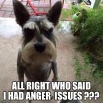 dogs | ALL RIGHT WHO SAID I HAD ANGER  ISSUES ??? | image tagged in dogs | made w/ Imgflip meme maker