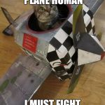 airplane cat | START THE PLANE HUMAN; I MUST FIGHT IN THE GREAT WAR | image tagged in airplane cat | made w/ Imgflip meme maker