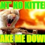 lol | ANT' NO KITTEN; TAKE ME DOWN | image tagged in lol | made w/ Imgflip meme maker