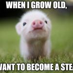 piglet | WHEN I GROW OLD, I WANT TO BECOME A STEAK | image tagged in piglet | made w/ Imgflip meme maker