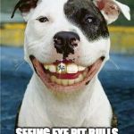 PIt Bull Smile | MILLION DOLLAR IDEA... SEEING EYE PIT BULLS FOR PLACES LIKE DETROIT | image tagged in pit bull smile | made w/ Imgflip meme maker