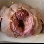 Anal 