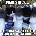 hang-in-there-kittens | WERE STUCK..... IN SOCKS.... 
SO WHY ARE YOU JUST STANDING THERE I THINK YOU SEE WE NEED HELP!!!! | image tagged in hang-in-there-kittens | made w/ Imgflip meme maker