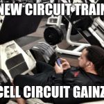 cellphone at the gym | THE NEW CIRCUIT TRAINING; CELL CIRCUIT GAINZ | image tagged in cellphone at the gym | made w/ Imgflip meme maker