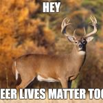 whitetail deer | HEY; DEER LIVES MATTER TOO. | image tagged in whitetail deer | made w/ Imgflip meme maker