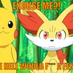 Fennekin Points At X | EXCUSE ME?! WHO THE HELL WOULD F*** A FENNEKIN?! | image tagged in fennekin points at x | made w/ Imgflip meme maker
