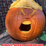 Trumpkin | I WILL MAKE PUMPKINS GREAT AGAIN | image tagged in trumpkin | made w/ Imgflip meme maker