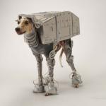 Star Wars Greyhound