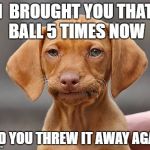 Disappointed Puppy | I  BROUGHT YOU THAT BALL 5 TIMES NOW; AND YOU THREW IT AWAY AGAIN | image tagged in disappointed puppy | made w/ Imgflip meme maker