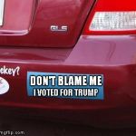 2017 - 2021 Highest selling bumper sticker | DON'T BLAME ME I VOTED FOR TRUMP | image tagged in bumper sticker,trump,clinton | made w/ Imgflip meme maker