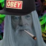 gandalf obey cap meme