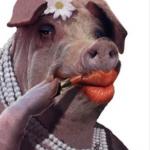 Lipstick on a pig meme