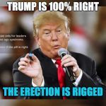 The Erection is Rigged | TRUMP IS 100% RIGHT; THE ERECTION IS RIGGED | image tagged in trump,rigged,erection,election,viagra | made w/ Imgflip meme maker